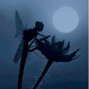 Meet your Posher, Tarena